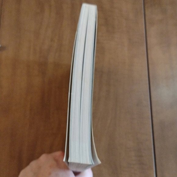 The Great Big Burger Book Jane Murphy & Liz Yeh Singh soft cover - Picture 8 of 8